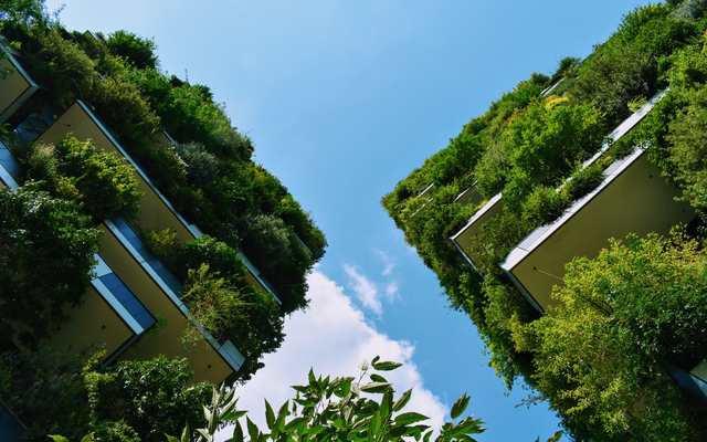 Zaļā būvniecība ilgtspējīgai dzīves kvalitātei