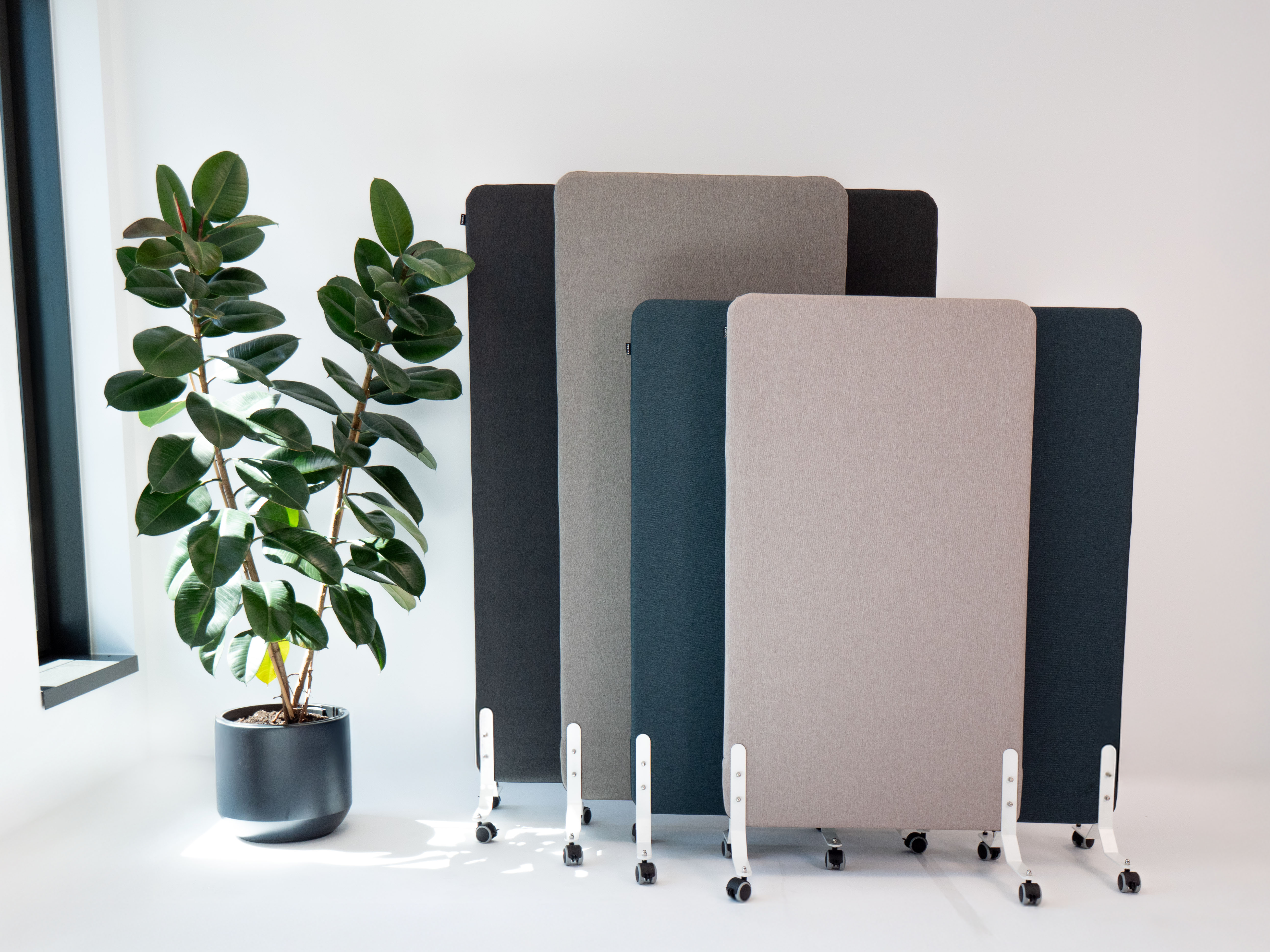 dažādu krāsu akustiskās sienas