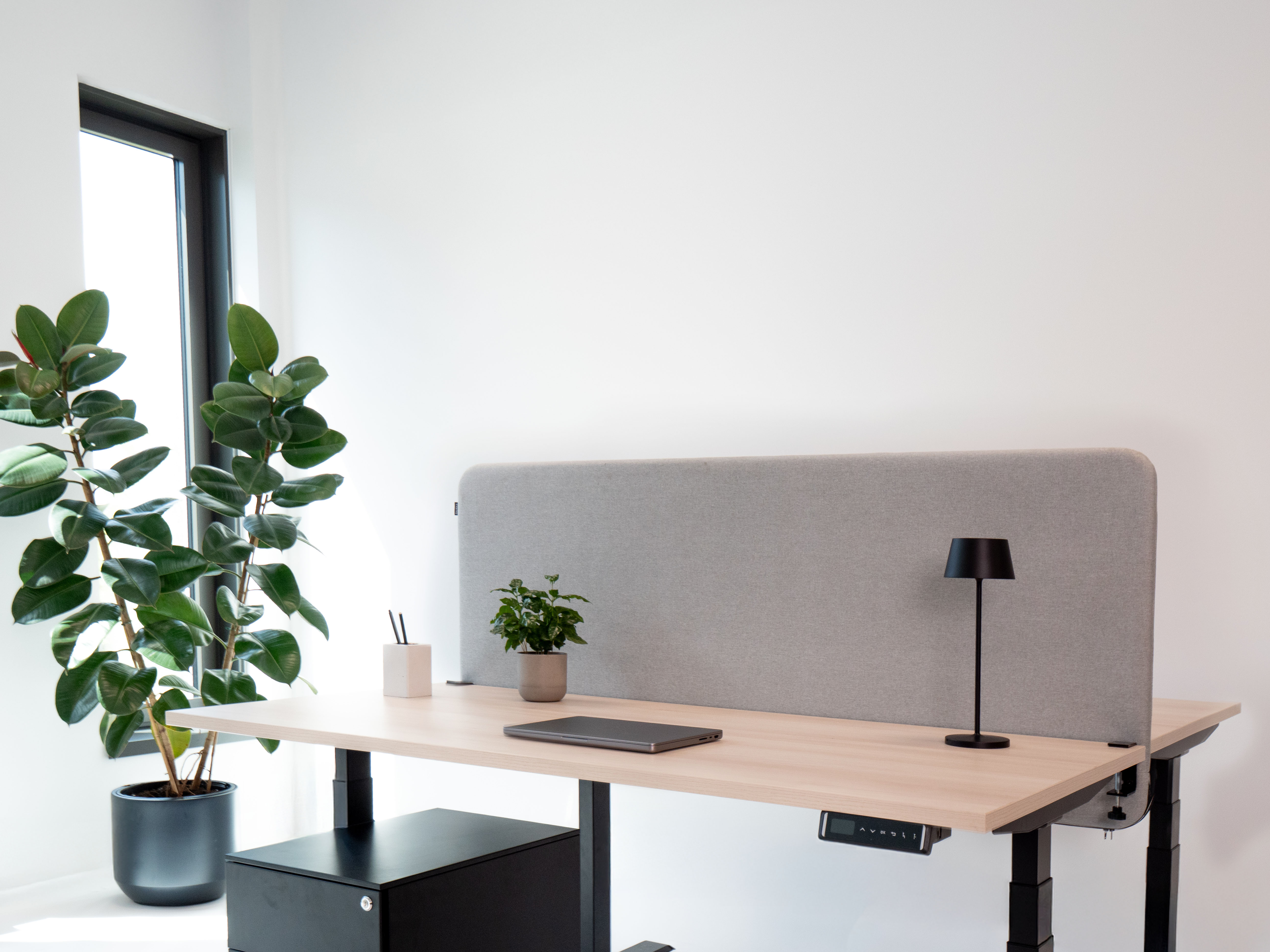 akustiskā siena starp biroja galdiem